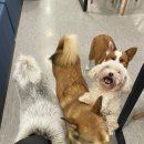 동구동행정복지센터.엘마트 이미지