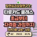 카드의 언어 타로[초급] | 타로카드 클래스 초급부터 자격증 과정까지 교육 추천