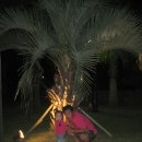 씨에코비치 이미지