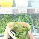 봄을담아 | 봄을 듬뿍 담은 봄담아 샤브샤브 등촌점 방문 후기