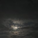 명선회식당 이미지