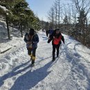 (1월) 평창 선자령 눈꽃산행 4 이미지