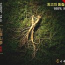 웅이네 농장 이미지