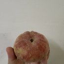 씨유 강동고덕점 | 다시 돌아온 블챌ㄹ챌