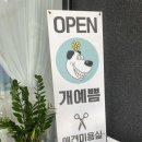 개예쁨 이미지