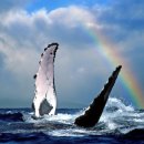 이주산농장 이미지