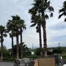 느긋하귀 이미지