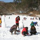 대기리마을 Daum카페