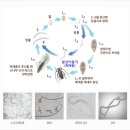 통일식당 이미지