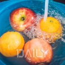 허브와야채 이미지