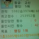 버버니 이미지