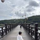 안동초등학교 | [안동 가볼만한곳] 밤이 더 아름다운 ✨ 안동 월영교 야경, 사랑의 다리를 걷다!