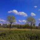 한밭수목원 서원 이미지