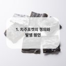 계양스마일치과의원 이미지