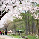 가산공원 화장실 이미지