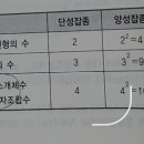 F2완전분리 최소개체수 수정에 따른 배우자 조합수 이미지