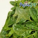 우빈농장 이미지