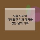 오늘 드디어 미뤄왔던 치과 예약을 잡은 날의 기록
