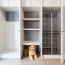 부산강아지분양 마이뭉 24시 | 부산말티푸분양 부산강아지분양 마이뭉 24시 체감된 변화 중심으로 정리한 후기