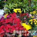 미화화원 이미지