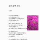 재한 유엔 공원 이미지