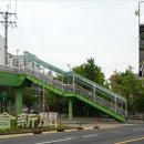 일신초교 의회신문