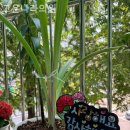 고은나라의원 이미지