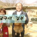 영래농장 이미지