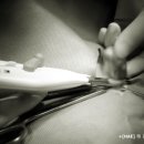 진보동물병원 이미지