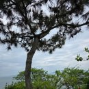 두멍부리 이미지