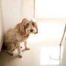 민락동물병원 이미지