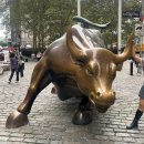 피어26(PIER26) | 🇺🇸 ɴᴇᴡʏᴏʀᴋ_ᴅᴀʏ5[황소동상/피어16/리버티베이글/자유의여신상/월스트리트/트리니티교회/윌리엄스버그...