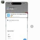 진일카 이미지