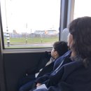 삼화NS | 네델란드 여행 교통요금 절약법, 아동(키즈)요금 사용법 정복기