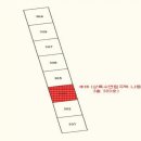 중앙로 77번길 네이버블로그