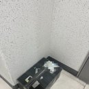 버드코리아 | 책 좋아하는 5살 아이 <리틀코리아> 3만원 정기구독 3개월 이용 후기