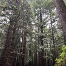 거량골프아카데미 이미지