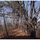 등마루목욕탕 이미지