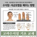 수지침 서금요법으로 자신과 가족의 건강을 직접 관리합시다. 이미지