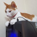 컴퓨터초보 이미지