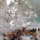 조정농장 이미지