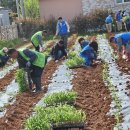 고금면-7 이미지