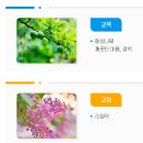 해밀고등학교 | (일반고) 해밀고등학교 2025 신입생 입학안내, 학교안내