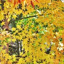 수성구민운동장 이미지