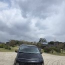 5001 | 부산대형택시 부산관광택시 스타리아 리무진택시 최종원 5001 기사님 후기