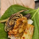 삼막7 | 상현역고기집 인생삼막, 상현동 맛집 육즙 가득 삼겹살과 깍두기볶음밥 조합 최고