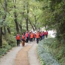 일등공인중개사사무소 주식회사 이미지