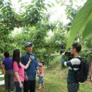 기남농장 이미지