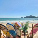 송정솔바람해변2 이미지