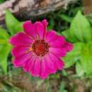 우리농원 이미지